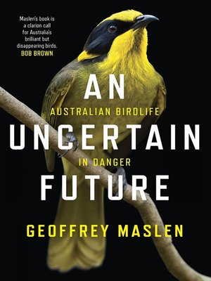cover image of An Uncertain Future